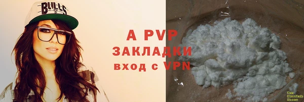 мяу мяу кристалл Богданович
