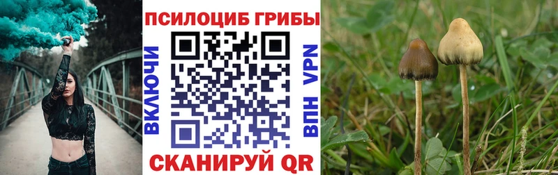 Галлюциногенные грибы мухоморы где купить наркоту Балашов